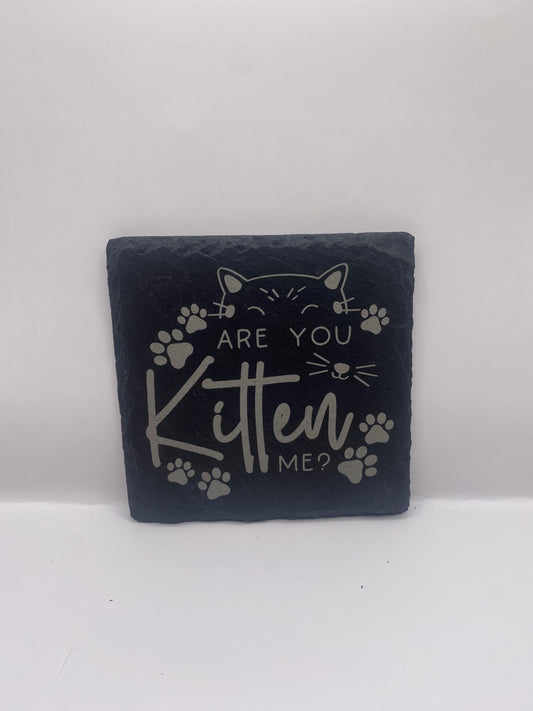 Are You Kitten Me? Slate Coaster